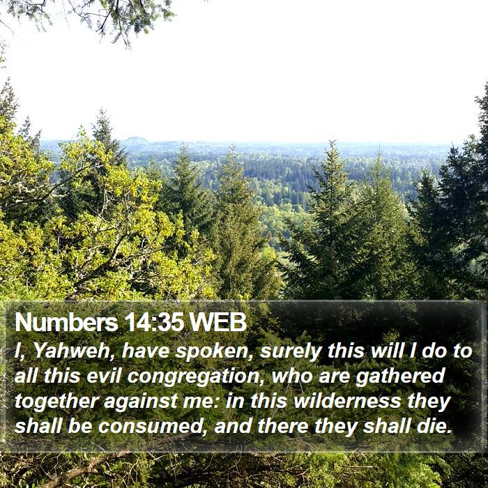 Numbers 14:35 WEB Bible Study