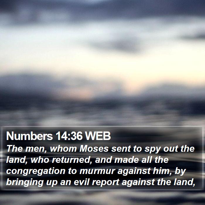 Numbers 14:36 WEB Bible Study