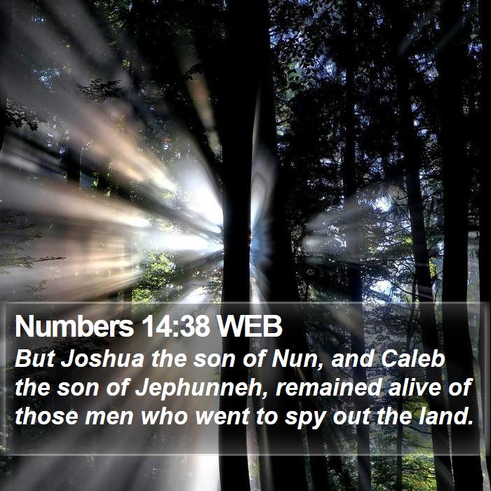 Numbers 14:38 WEB Bible Study