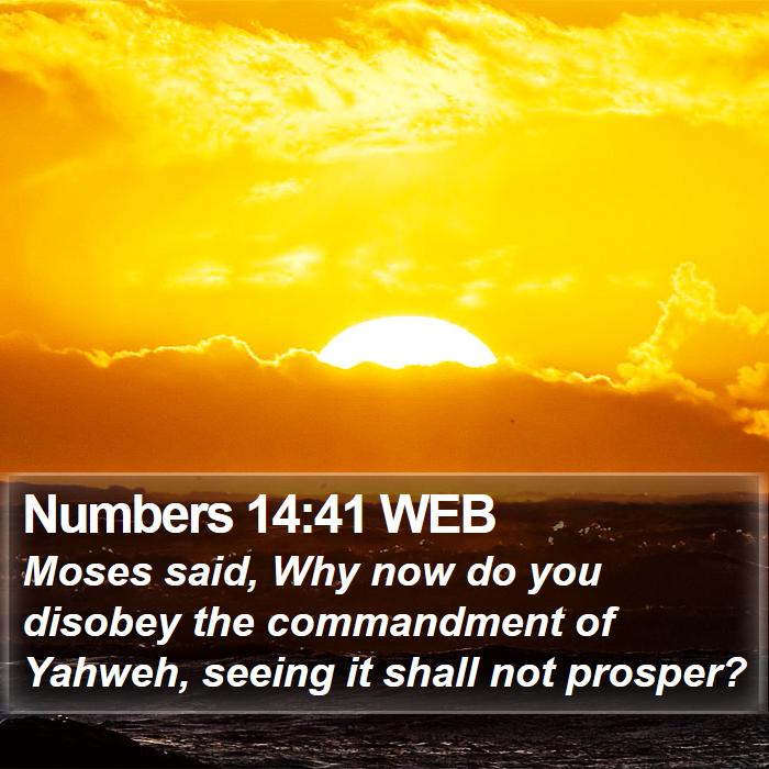 Numbers 14:41 WEB Bible Study