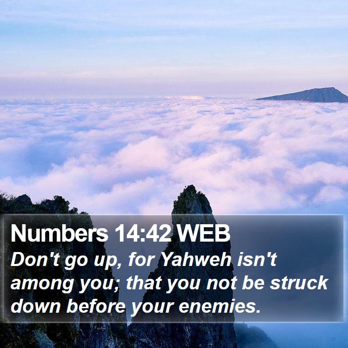 Numbers 14:42 WEB Bible Study