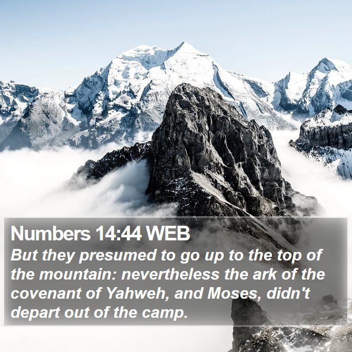 Numbers 14:44 WEB Bible Study