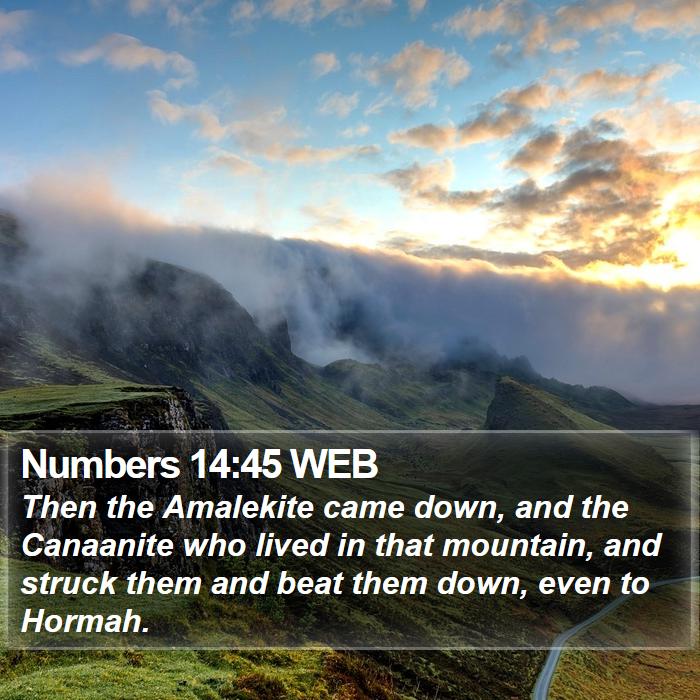 Numbers 14:45 WEB Bible Study