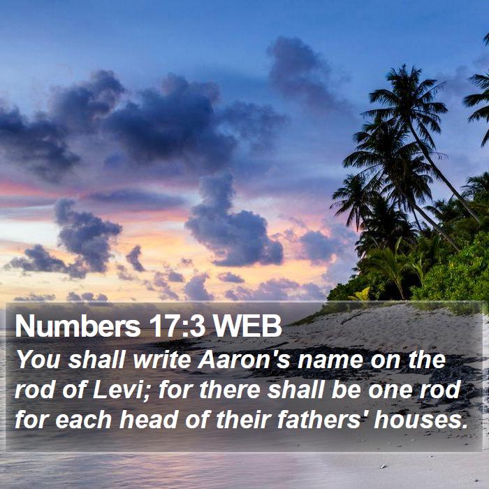 Numbers 17:3 WEB Bible Study