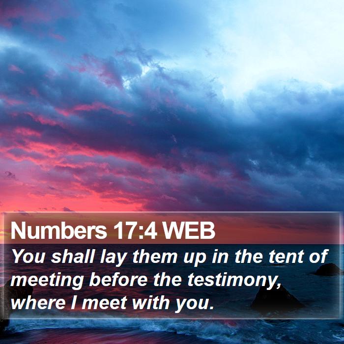 Numbers 17:4 WEB Bible Study