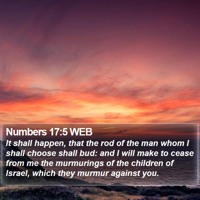 Numbers 17:5 WEB Bible Study