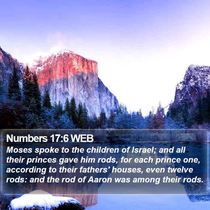 Numbers 17:6 WEB Bible Study