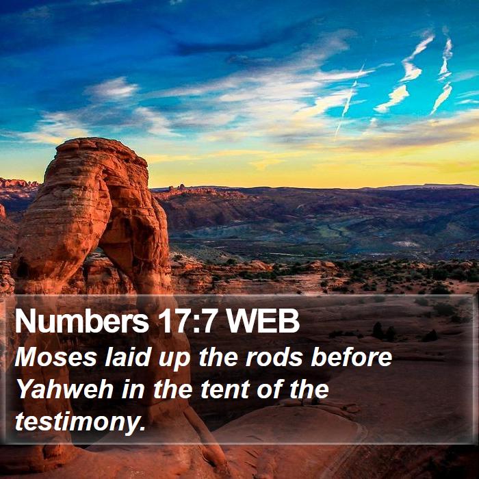 Numbers 17:7 WEB Bible Study