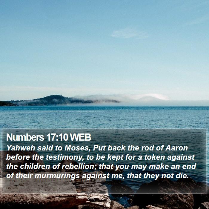 Numbers 17:10 WEB Bible Study