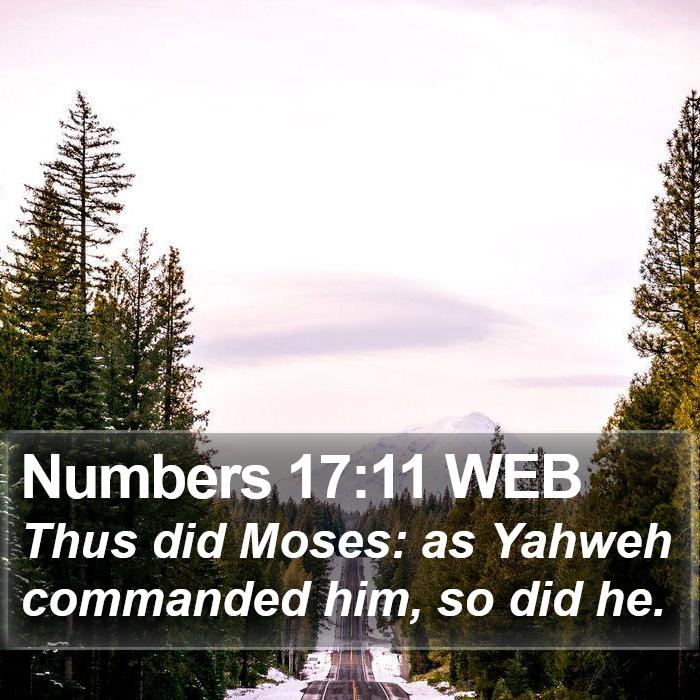 Numbers 17:11 WEB Bible Study