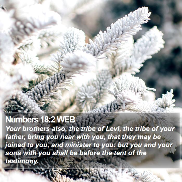 Numbers 18:2 WEB Bible Study