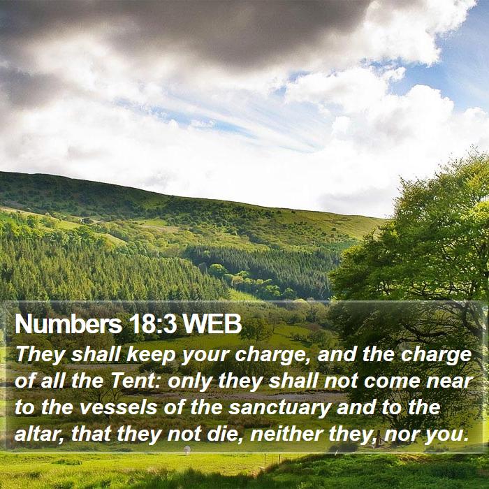 Numbers 18:3 WEB Bible Study