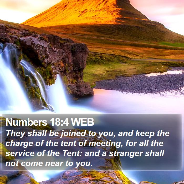 Numbers 18:4 WEB Bible Study