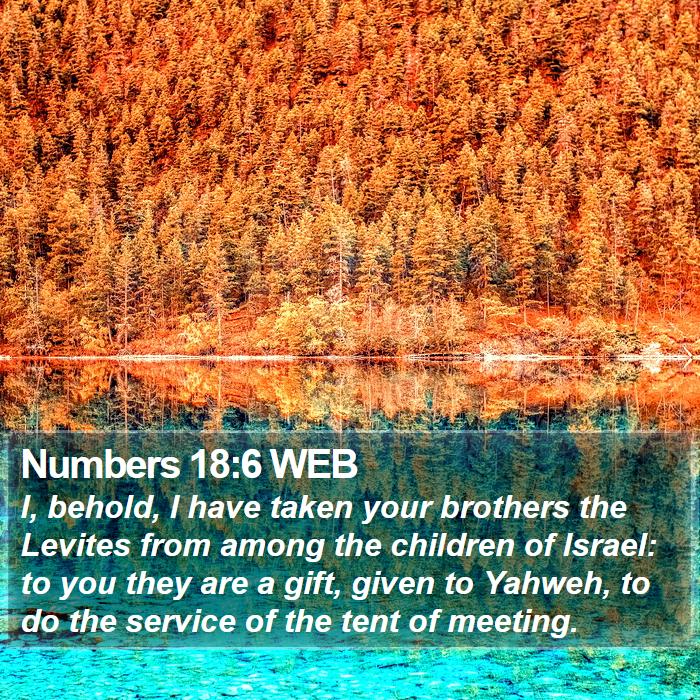 Numbers 18:6 WEB Bible Study