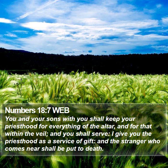 Numbers 18:7 WEB Bible Study