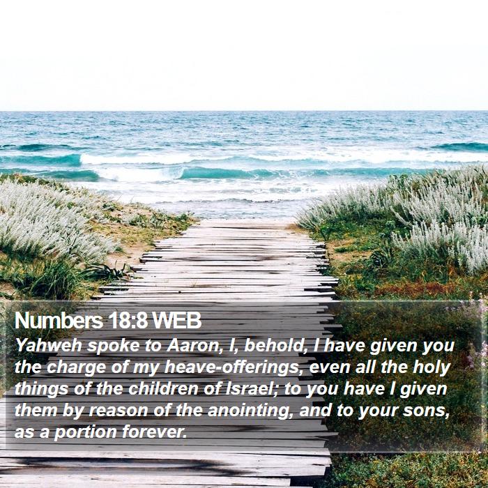 Numbers 18:8 WEB Bible Study