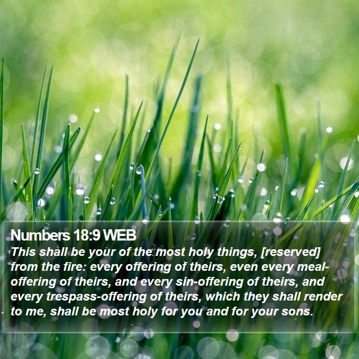 Numbers 18:9 WEB Bible Study