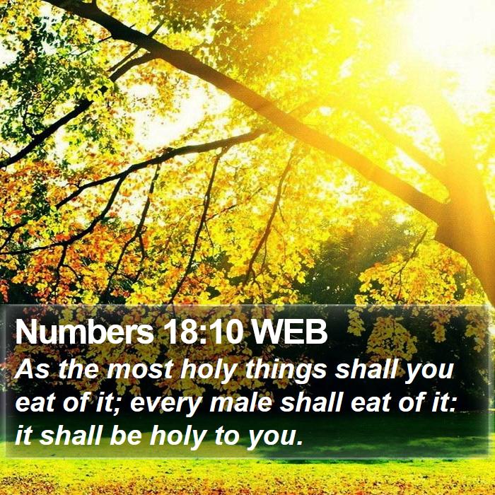 Numbers 18:10 WEB Bible Study