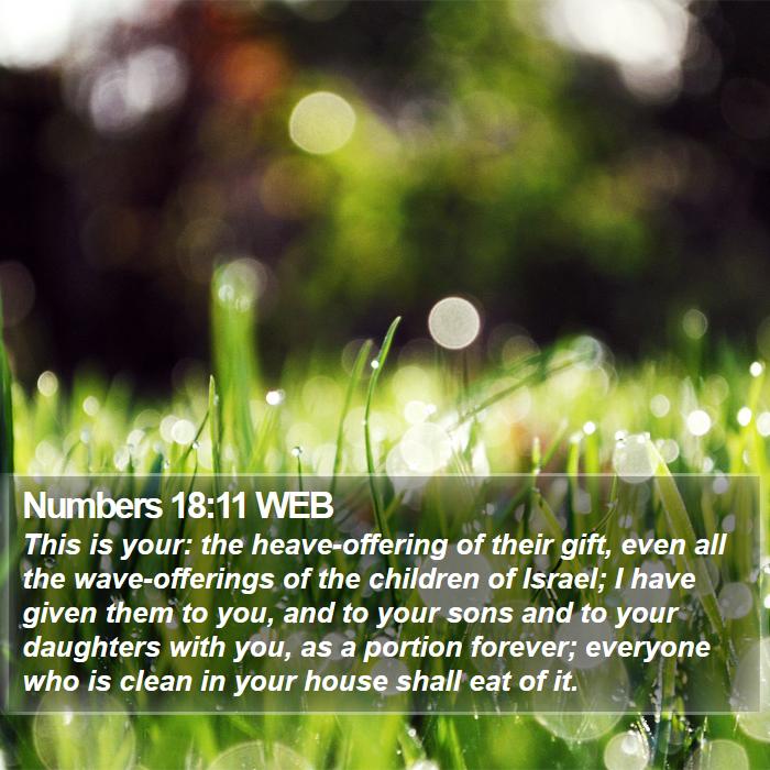 Numbers 18:11 WEB Bible Study