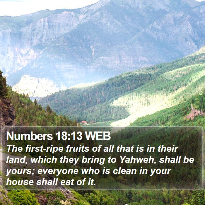 Numbers 18:13 WEB Bible Study