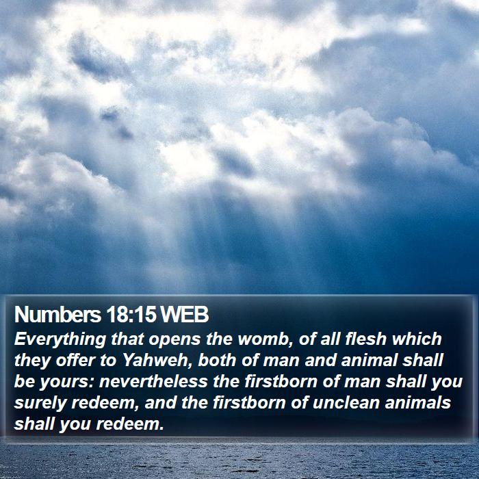 Numbers 18:15 WEB Bible Study