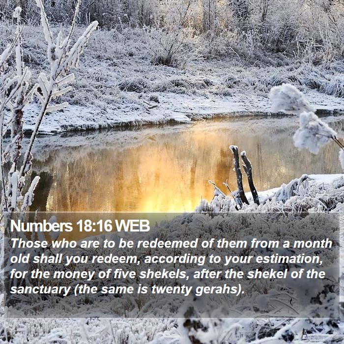 Numbers 18:16 WEB Bible Study