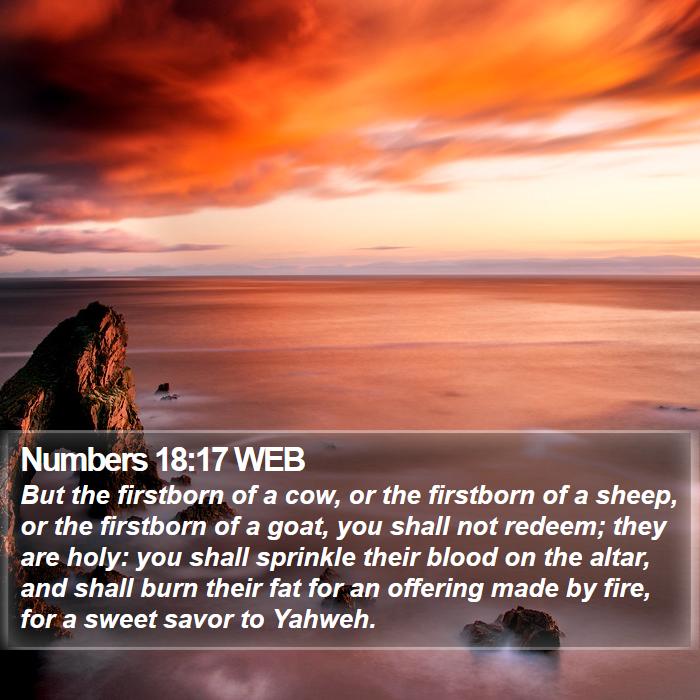 Numbers 18:17 WEB Bible Study