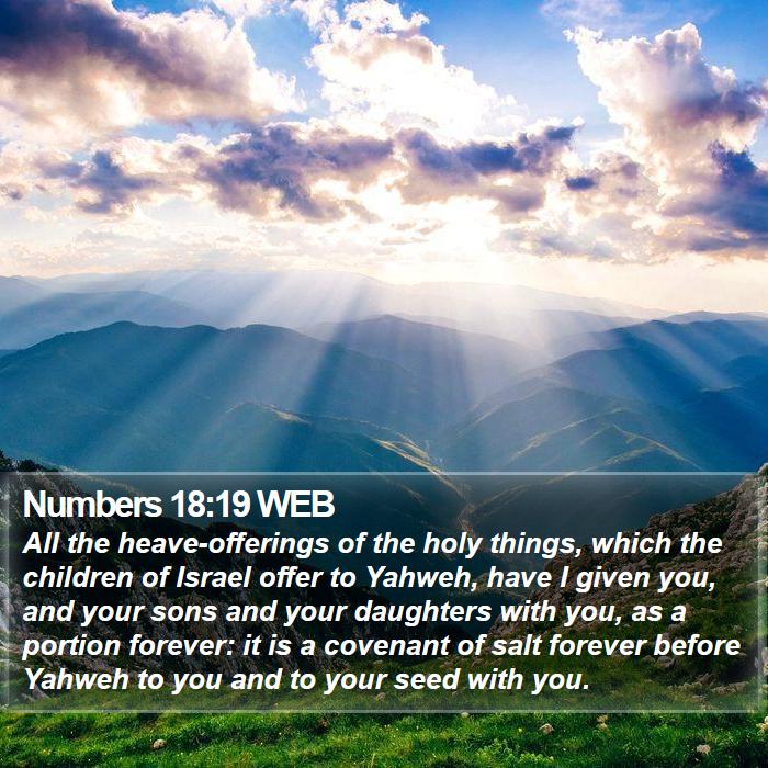 Numbers 18:19 WEB Bible Study