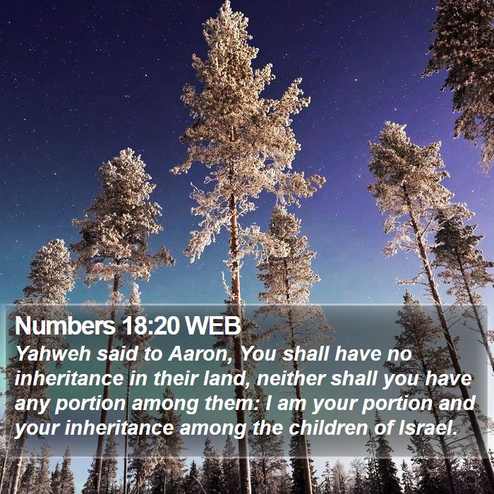 Numbers 18:20 WEB Bible Study