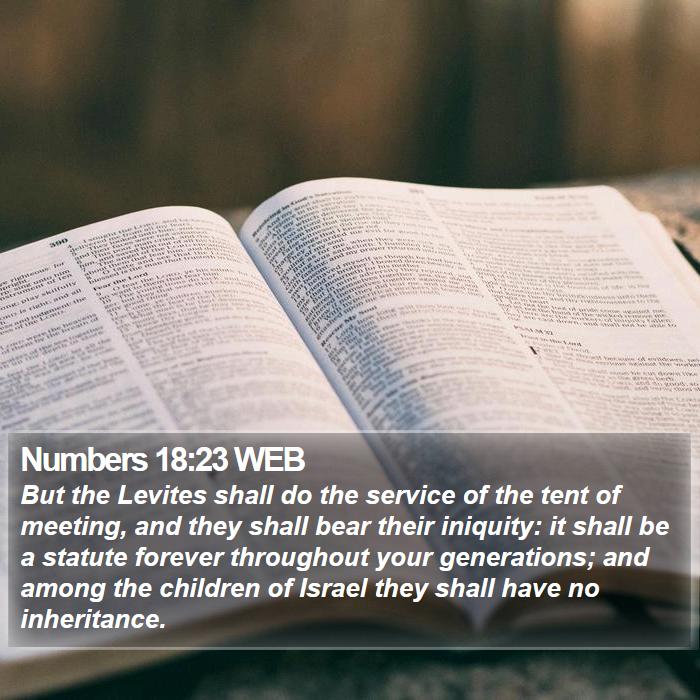 Numbers 18:23 WEB Bible Study