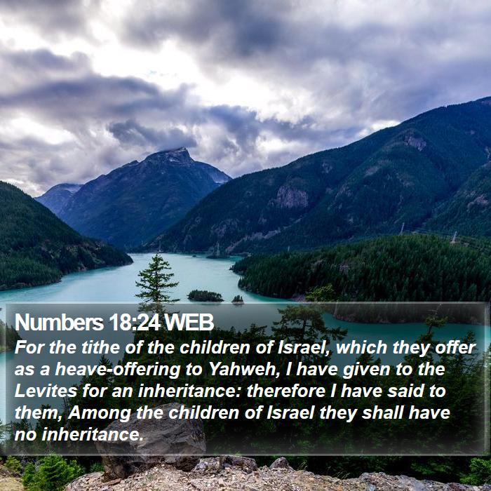 Numbers 18:24 WEB Bible Study