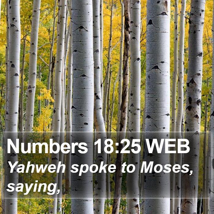 Numbers 18:25 WEB Bible Study