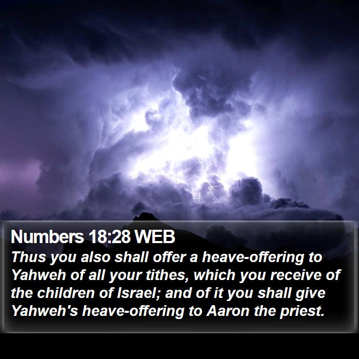 Numbers 18:28 WEB Bible Study