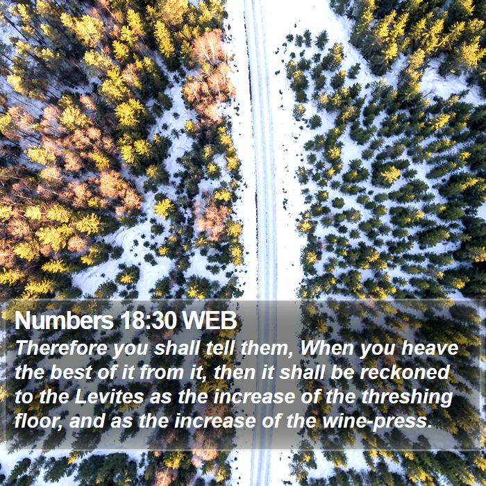 Numbers 18:30 WEB Bible Study