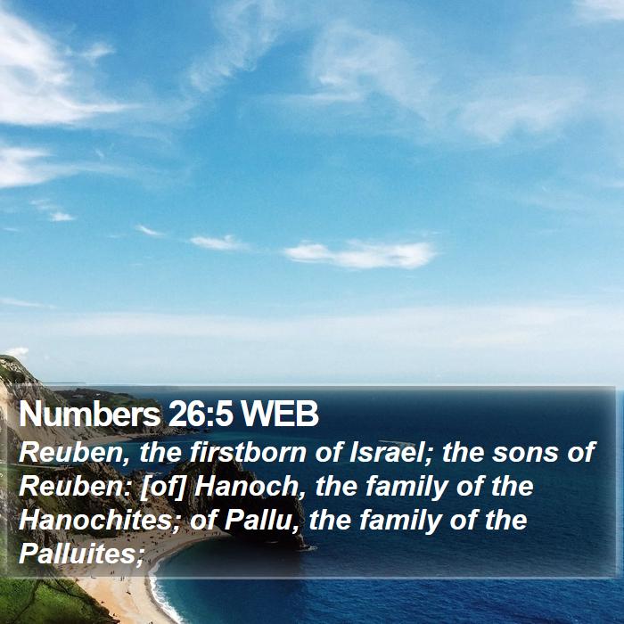 Numbers 26:5 WEB Bible Study