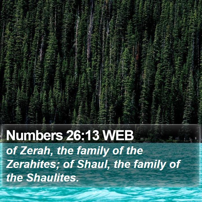 Numbers 26:13 WEB Bible Study