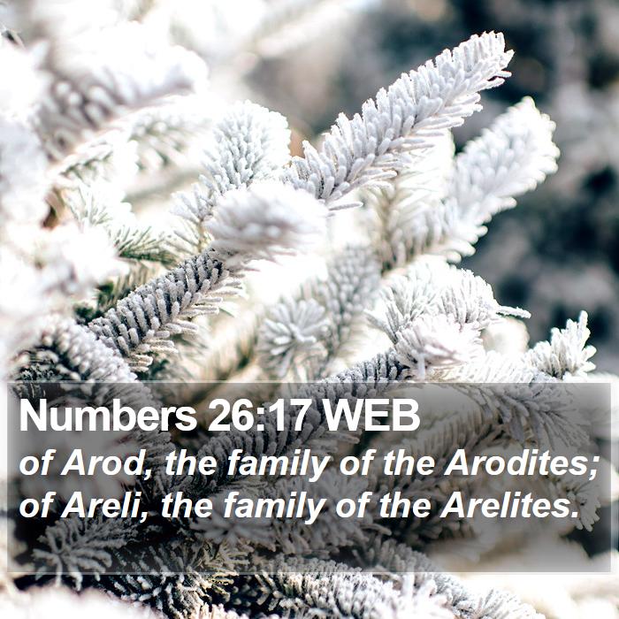 Numbers 26:17 WEB Bible Study