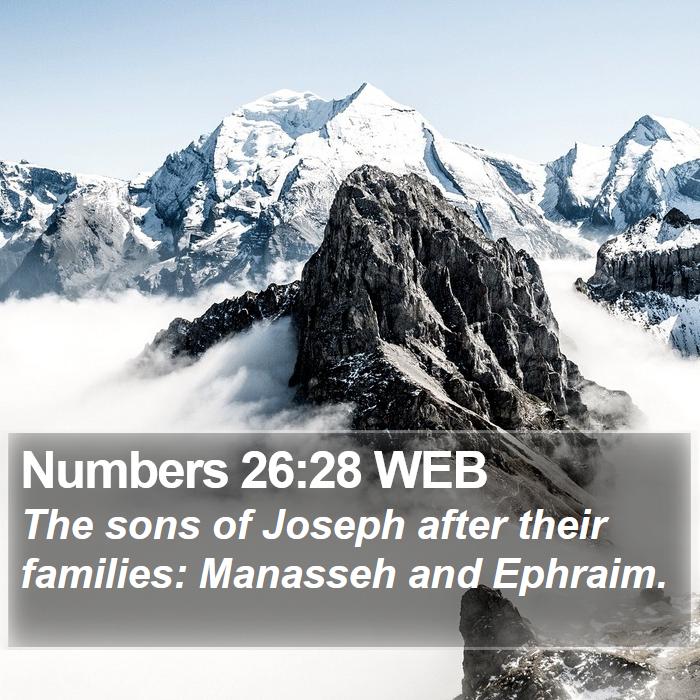 Numbers 26:28 WEB Bible Study