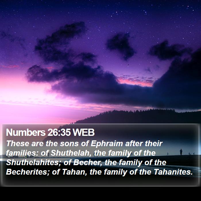 Numbers 26:35 WEB Bible Study