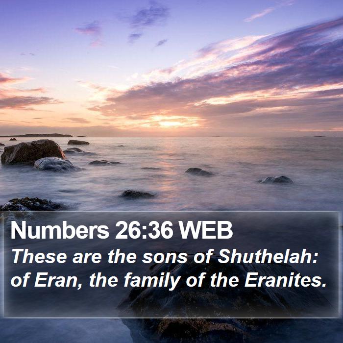 Numbers 26:36 WEB Bible Study