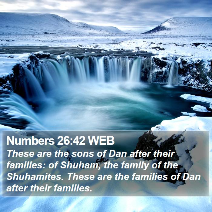 Numbers 26:42 WEB Bible Study