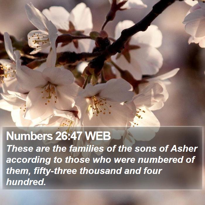 Numbers 26:47 WEB Bible Study