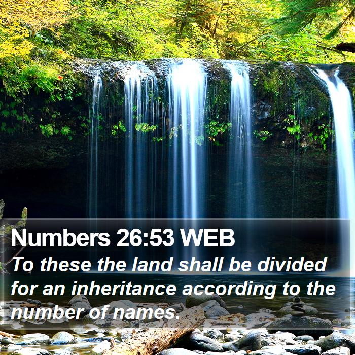 Numbers 26:53 WEB Bible Study