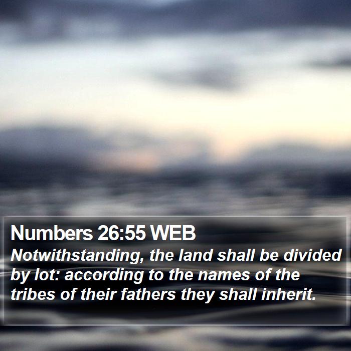 Numbers 26:55 WEB Bible Study