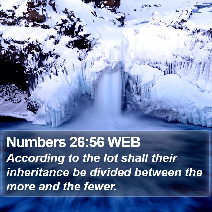 Numbers 26:56 WEB Bible Study