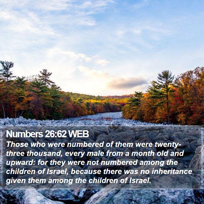 Numbers 26:62 WEB Bible Study