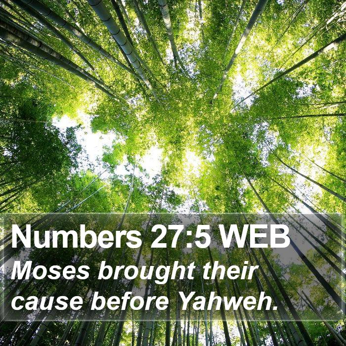 Numbers 27:5 WEB Bible Study