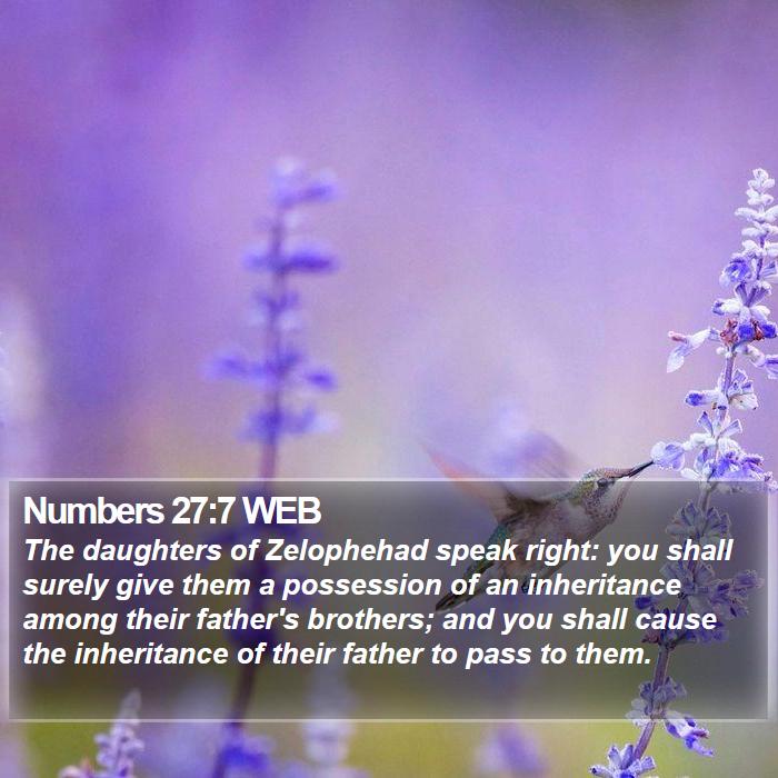 Numbers 27:7 WEB Bible Study