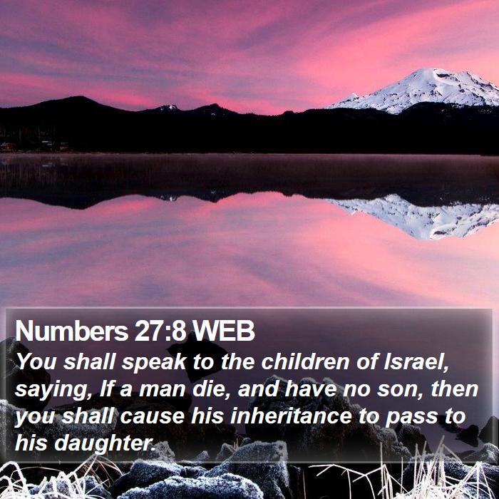 Numbers 27:8 WEB Bible Study