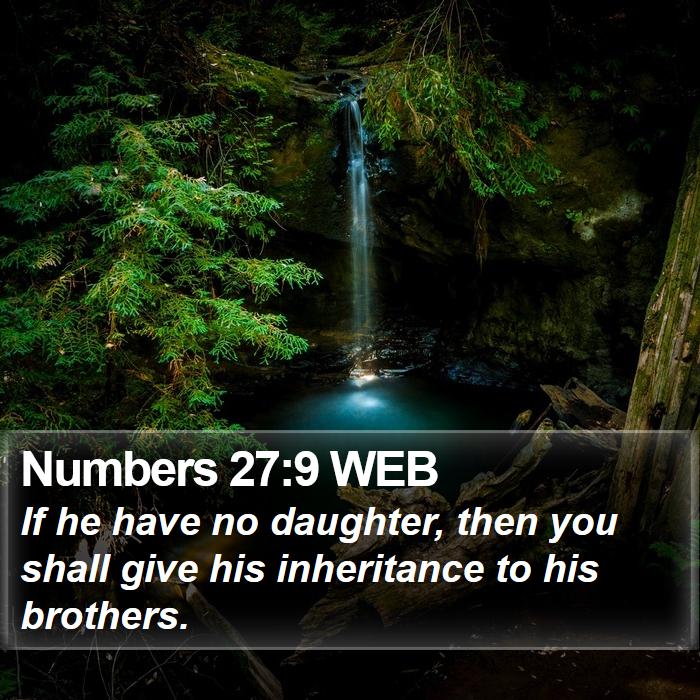 Numbers 27:9 WEB Bible Study